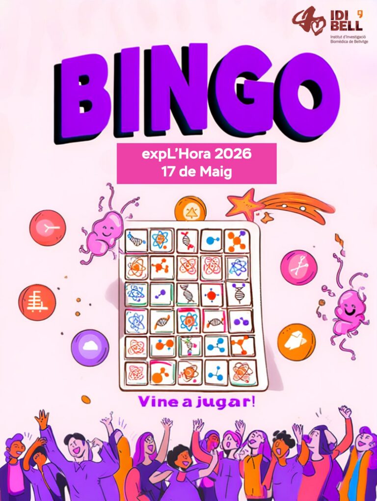 activitat bingo