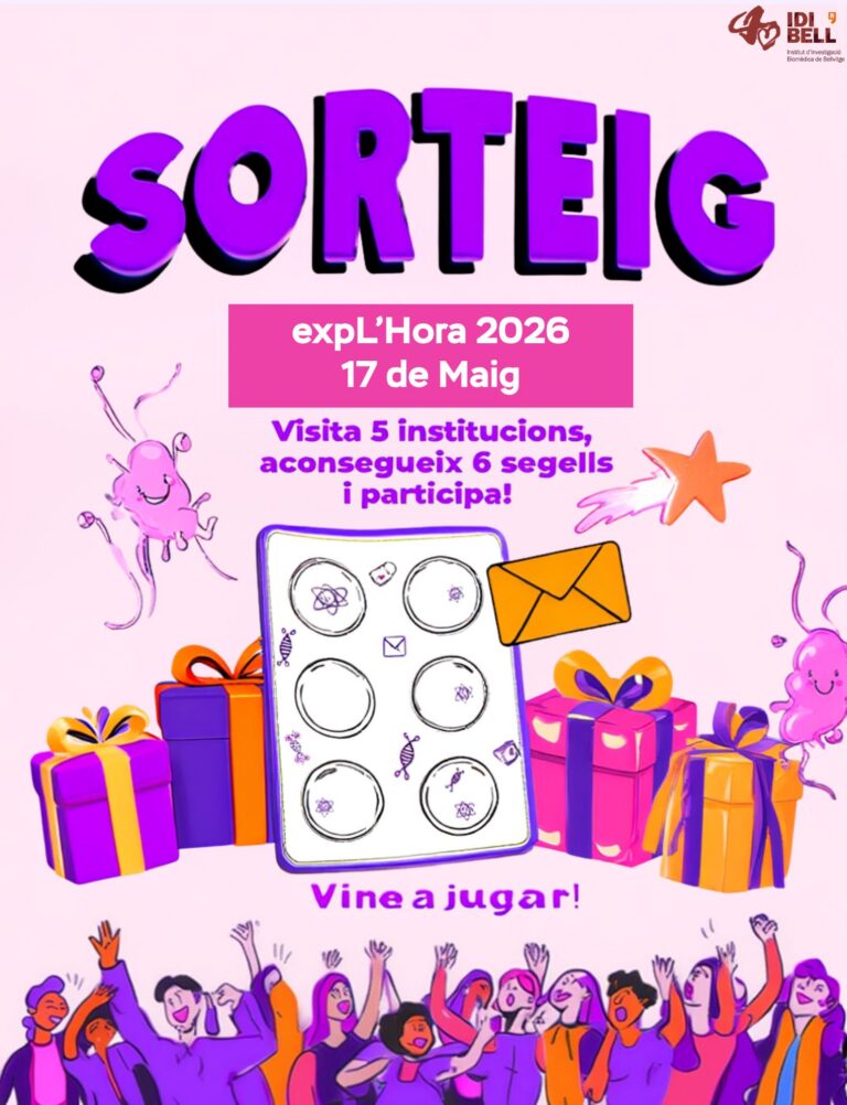 activitat sorteig